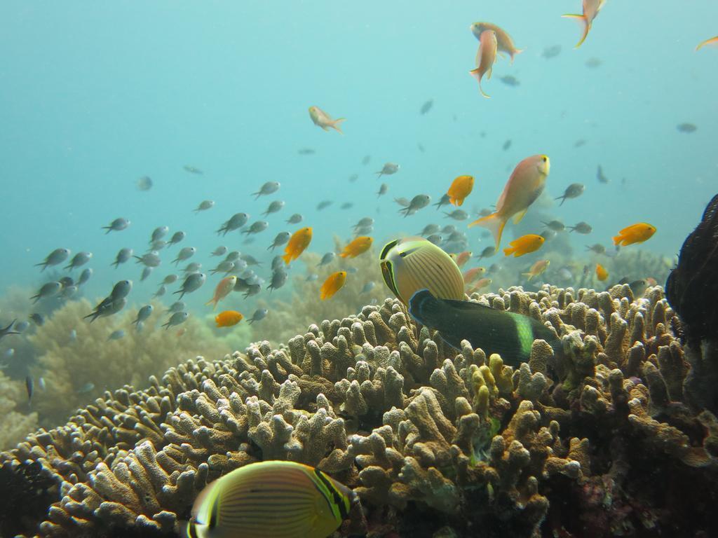 Oma In Pemuteran Bali Διαμέρισμα Εξωτερικό φωτογραφία
